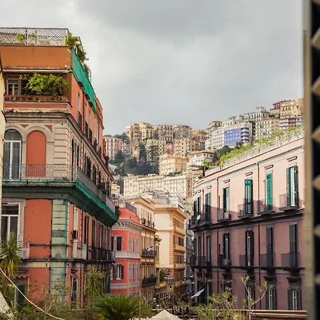 Flower Luxury Neapol